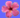 Travel Tahiti